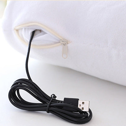 Electric Warm Pillow